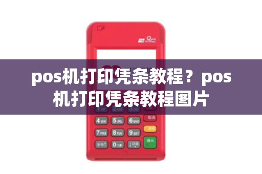 pos机打印凭条教程？pos机打印凭条教程图片