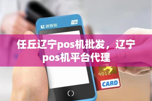 任丘辽宁pos机批发，辽宁pos机平台代理