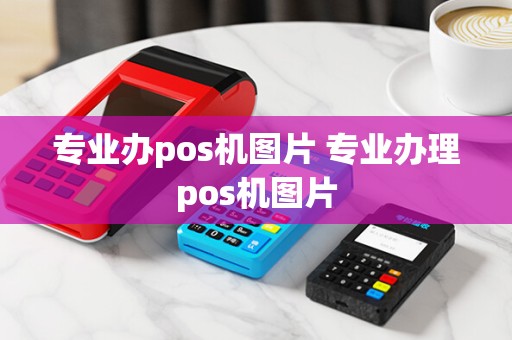 专业办pos机图片 专业办理pos机图片