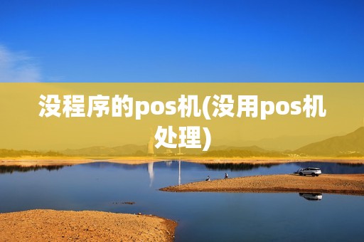没程序的pos机(没用pos机处理)