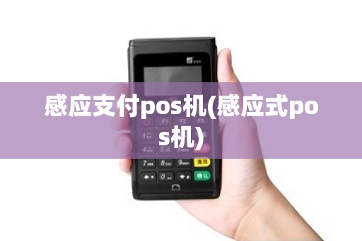感应支付pos机(感应式pos机)