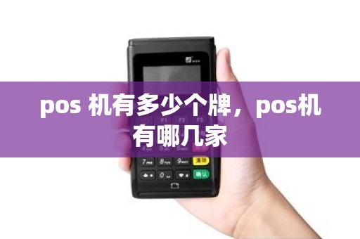pos 机有多少个牌，pos机有哪几家