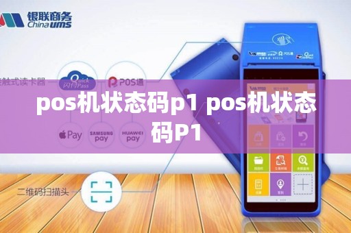 pos机状态码p1 pos机状态码P1