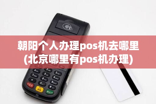 朝阳个人办理pos机去哪里(北京哪里有pos机办理)