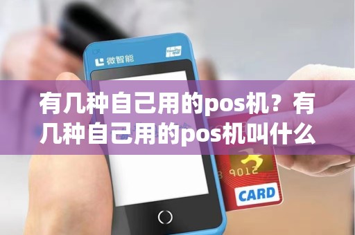 有几种自己用的pos机？有几种自己用的pos机叫什么