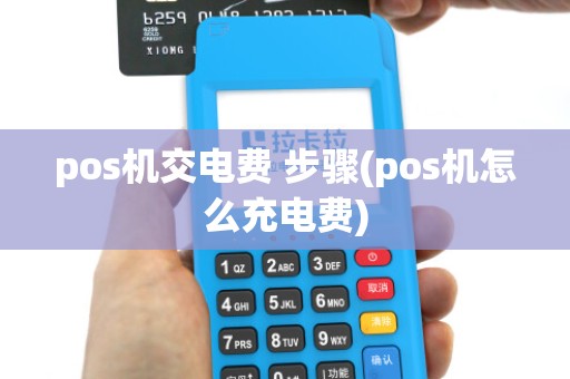 pos机交电费 步骤(pos机怎么充电费)