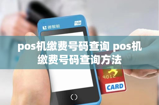 pos机缴费号码查询 pos机缴费号码查询方法