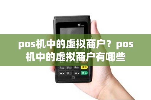 pos机中的虚拟商户？pos机中的虚拟商户有哪些