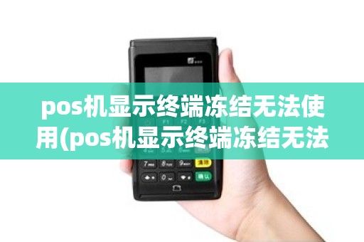 pos机显示终端冻结无法使用(pos机显示终端冻结无法使用什么意思)