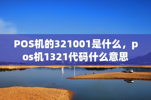 POS机的321001是什么，pos机1321代码什么意思