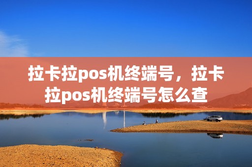 拉卡拉pos机终端号，拉卡拉pos机终端号怎么查