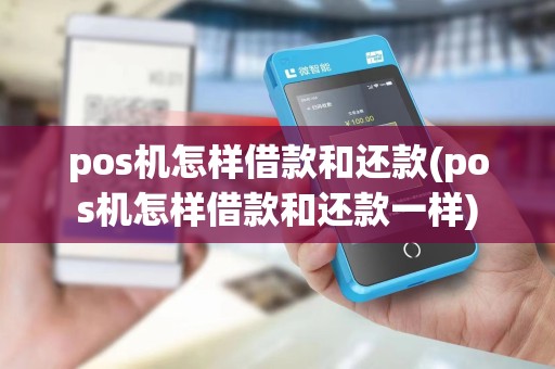 pos机怎样借款和还款(pos机怎样借款和还款一样)