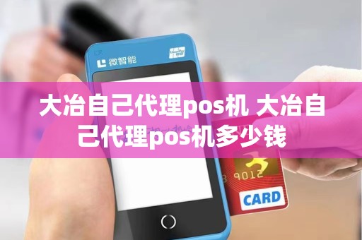 大冶自己代理pos机 大冶自己代理pos机多少钱