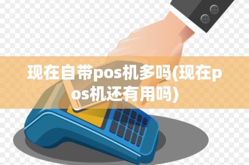 现在自带pos机多吗(现在pos机还有用吗)
