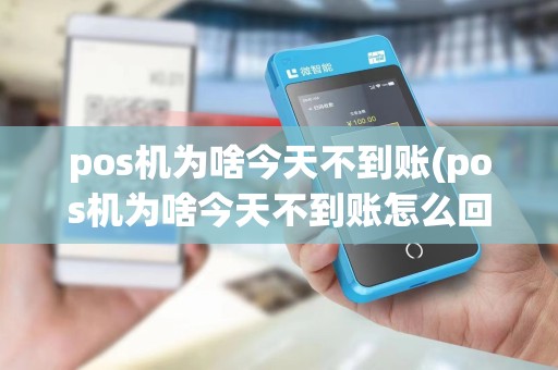 pos机为啥今天不到账(pos机为啥今天不到账怎么回事)