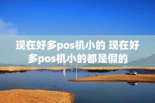 现在好多pos机小的 现在好多pos机小的都是假的