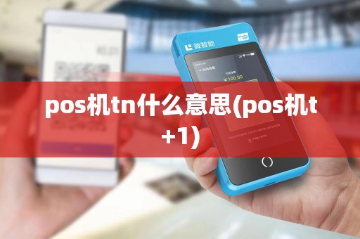 pos机tn什么意思(pos机t+1)