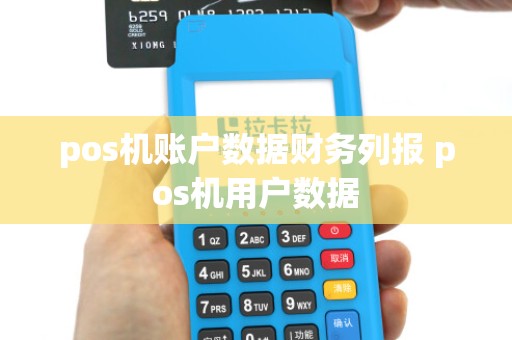 pos机账户数据财务列报 pos机用户数据