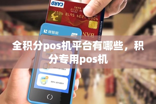 全积分pos机平台有哪些，积分专用pos机