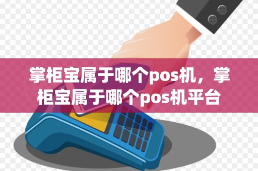 掌柜宝属于哪个pos机，掌柜宝属于哪个pos机平台