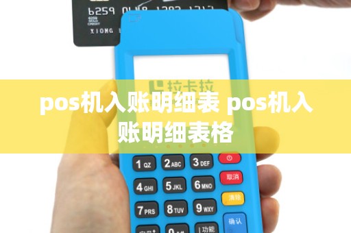 pos机入账明细表 pos机入账明细表格