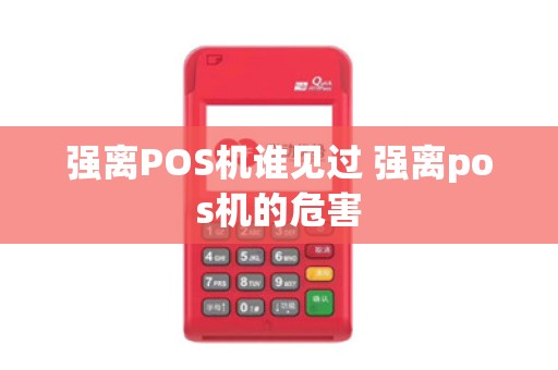 强离POS机谁见过 强离pos机的危害