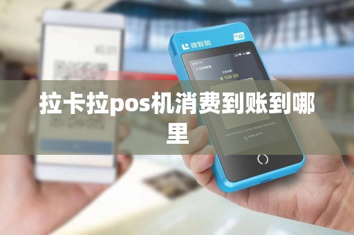 拉卡拉pos机消费到账到哪里