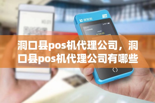 洞口县pos机代理公司，洞口县pos机代理公司有哪些