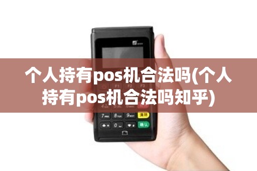 个人持有pos机合法吗(个人持有pos机合法吗知乎)