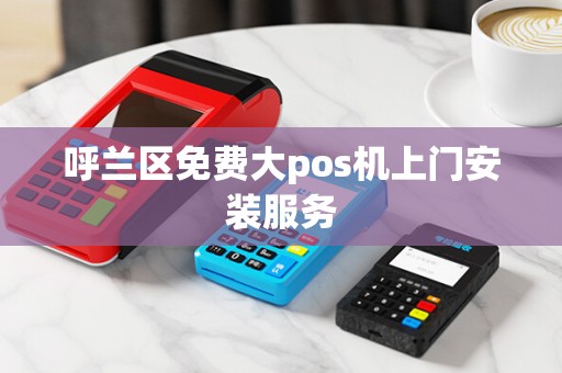 呼兰区免费大pos机上门安装服务