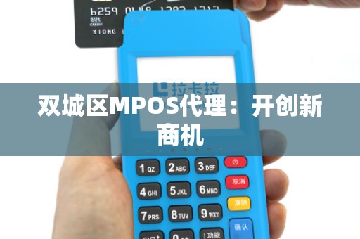 双城区MPOS代理：开创新商机
