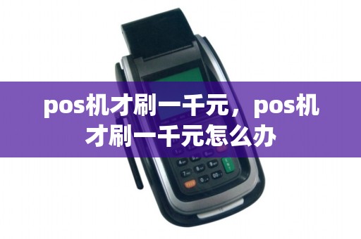 pos机才刷一千元，pos机才刷一千元怎么办