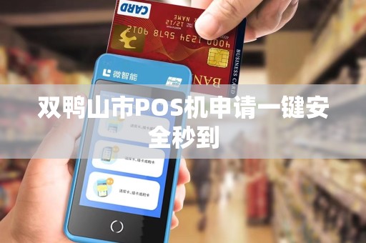 双鸭山市POS机申请一键安全秒到