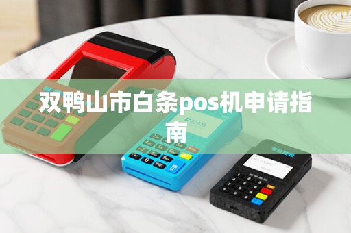 双鸭山市白条pos机申请指南