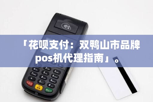 「花呗支付：双鸭山市品牌pos机代理指南」。