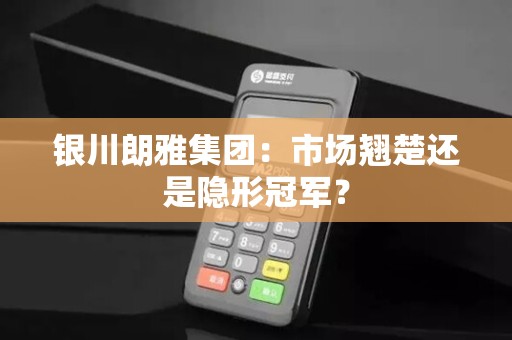 银川朗雅集团：市场翘楚还是隐形冠军？