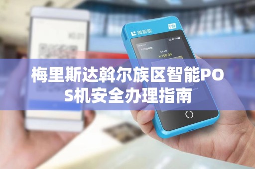 梅里斯达斡尔族区智能POS机安全办理指南