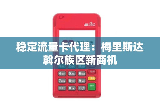 稳定流量卡代理：梅里斯达斡尔族区新商机