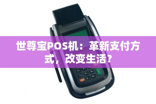 世尊宝POS机：革新支付方式，改变生活？