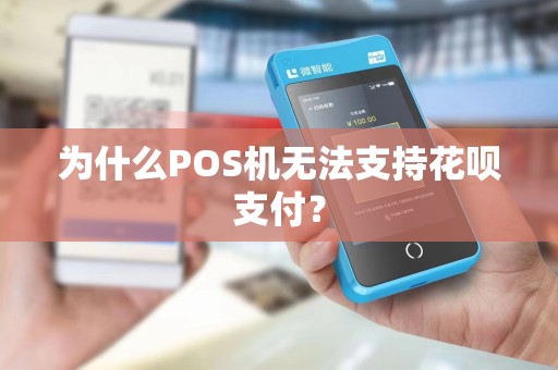 为什么POS机无法支持花呗支付？