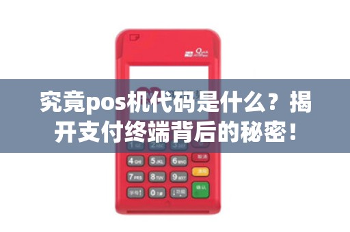 究竟pos机代码是什么？揭开支付终端背后的秘密！