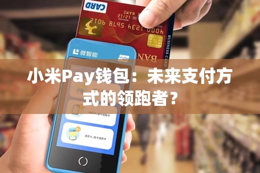 小米Pay钱包：未来支付方式的领跑者？