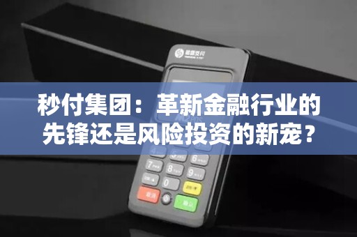 秒付集团：革新金融行业的先锋还是风险投资的新宠？