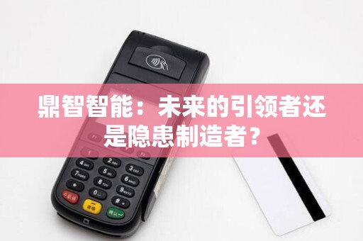 鼎智智能：未来的引领者还是隐患制造者？