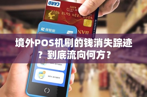 境外POS机刷的钱消失踪迹？到底流向何方？