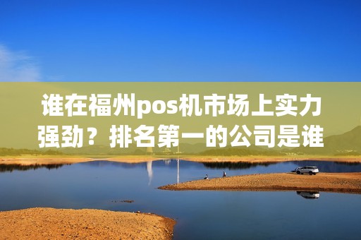 谁在福州pos机市场上实力强劲？排名第一的公司是谁？