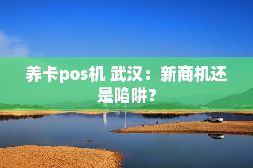 养卡pos机 武汉：新商机还是陷阱？