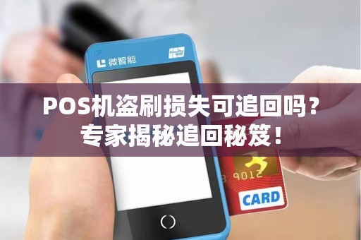 POS机盗刷损失可追回吗？专家揭秘追回秘笈！