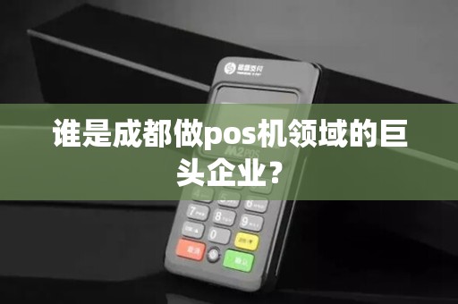 谁是成都做pos机领域的巨头企业？