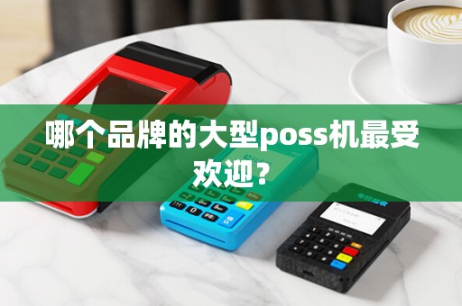 哪个品牌的大型poss机最受欢迎？